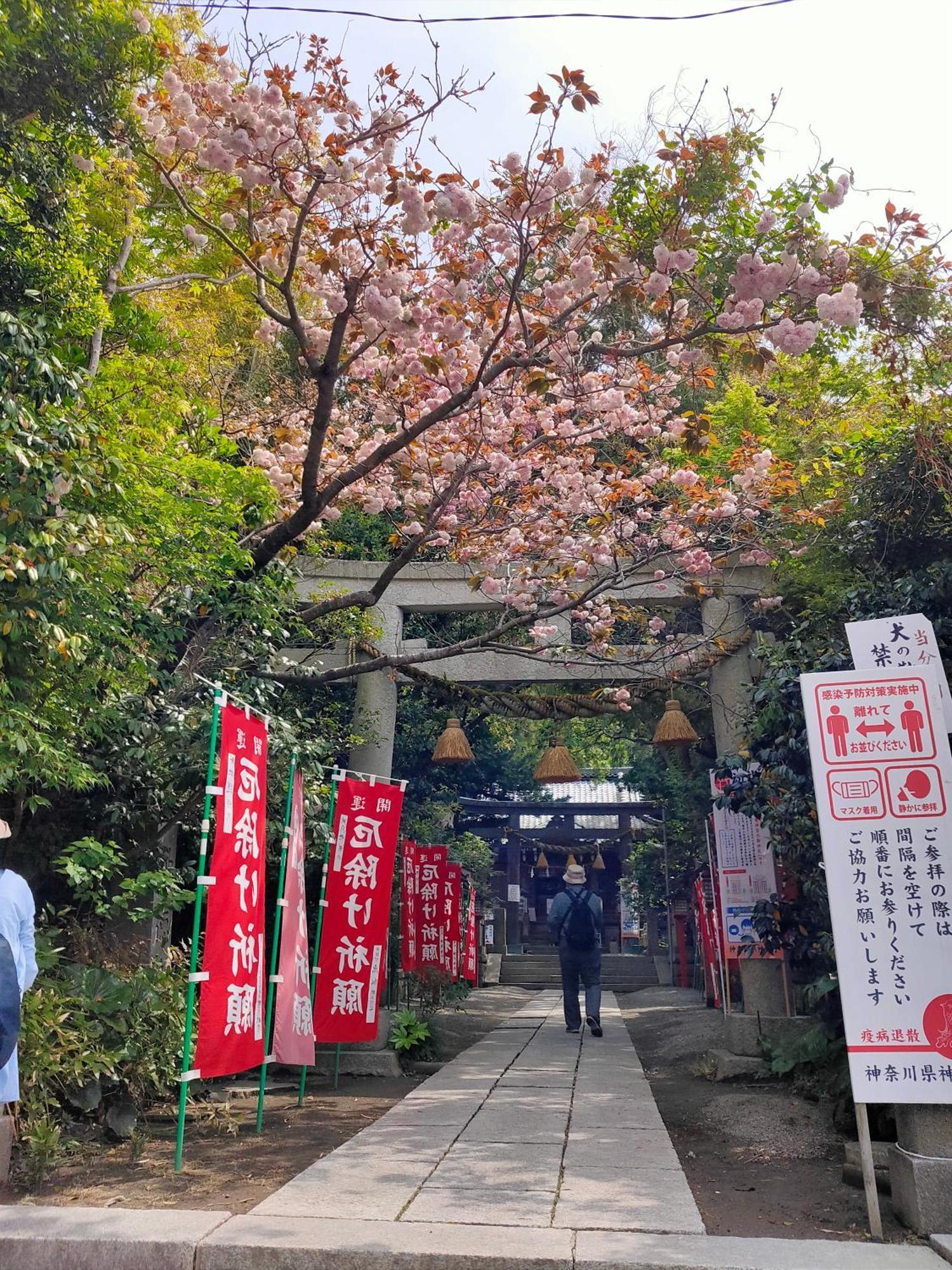 Jiro De Kamakura Lägenhet Exteriör bild